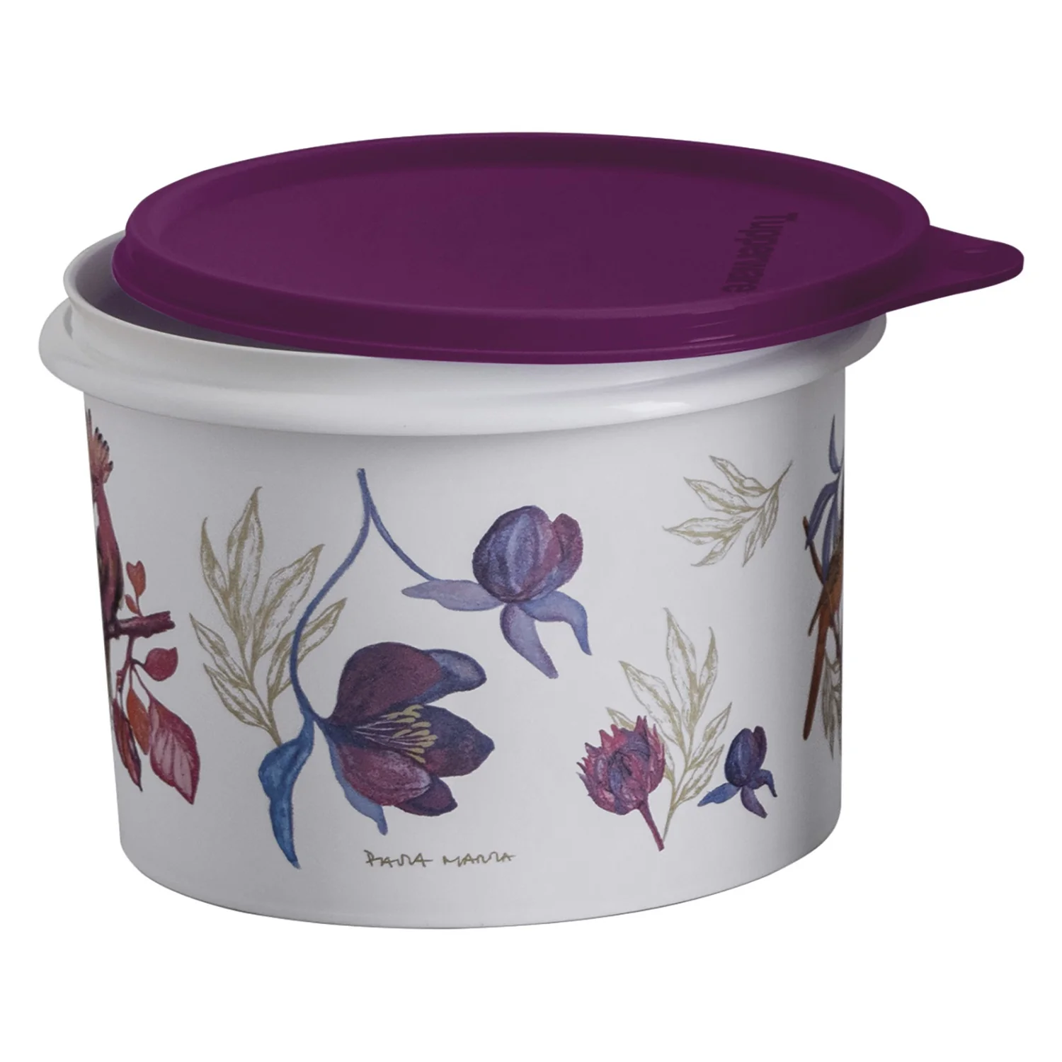 Tupper Caixa Botânica 1,1L